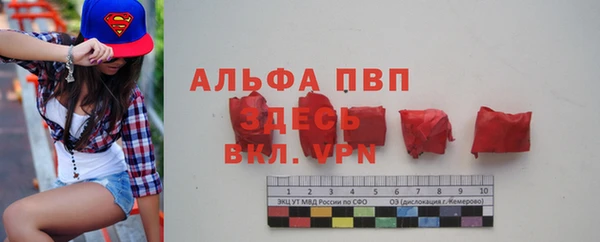 ешки Бородино