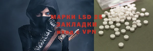 ешки Бородино