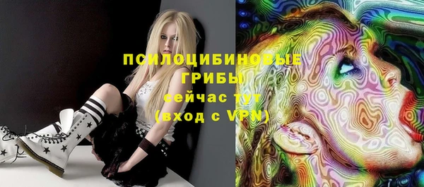 ешки Бородино