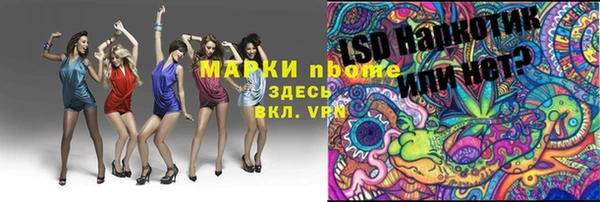 ешки Бородино