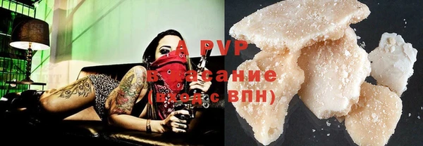 ешки Бородино