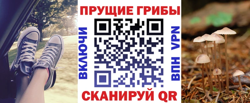 Псилоцибиновые грибы MAGIC MUSHROOMS  даркнет состав  Нюрба  продажа наркотиков 